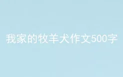 我家的牧羊犬作文500字