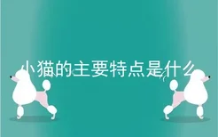 小猫的主要特点是什么