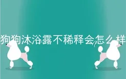 狗狗沐浴露不稀释会怎么样