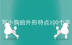 写小狗的外形特点100个字