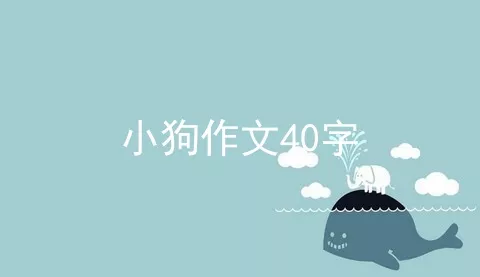 小狗作文40字