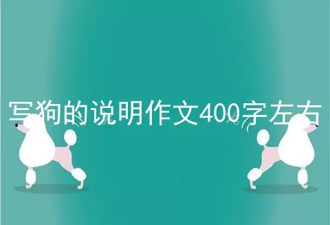 写狗的说明作文400字左右