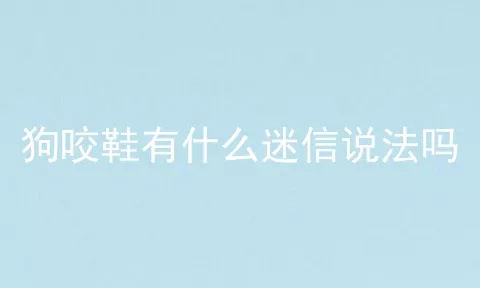 狗咬鞋有什么迷信说法吗