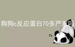 狗狗c反应蛋白70多严重吗