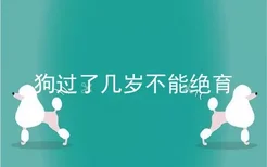 狗过了几岁不能绝育