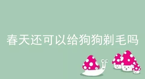 春天还可以给狗狗剃毛吗