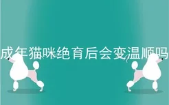 成年猫咪绝育后会变温顺吗