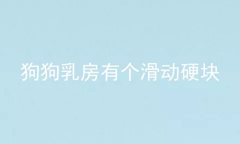 狗狗乳房有个滑动硬块