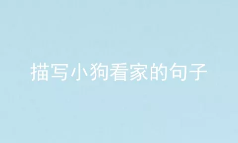 描写小狗看家的句子