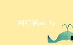 网红猫sally