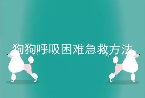 狗狗呼吸困难急救方法