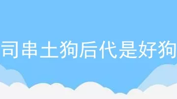 下司串土狗后代是好狗吗