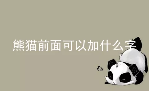 熊猫前面可以加什么字