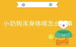 小奶狗浑身哆嗦怎么回事