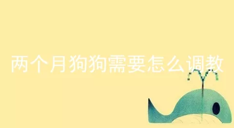 两个月狗狗需要怎么调教