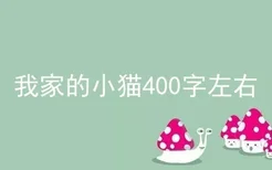 我家的小猫400字左右