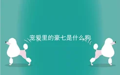 宠爱里的豪七是什么狗