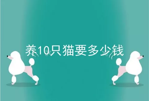 养10只猫要多少钱