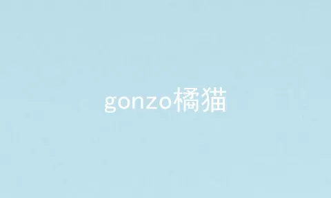 gonzo橘猫