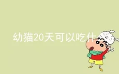 幼猫20天可以吃什么