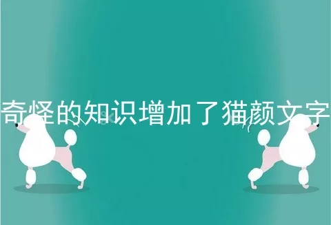 奇怪的知识增加了猫颜文字