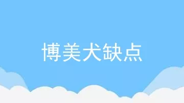 博美犬缺点