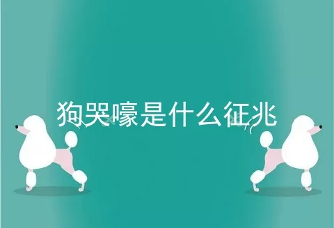 狗哭嚎是什么征兆