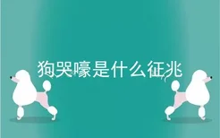 狗哭嚎是什么征兆