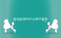 现在在国内什么狗不能养