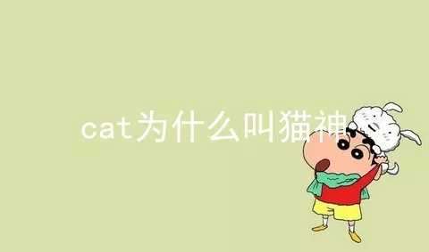 cat为什么叫猫神