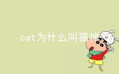 cat为什么叫猫神