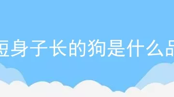 腿短身子长的狗是什么品种