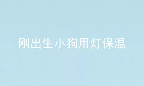 刚出生小狗用灯保温