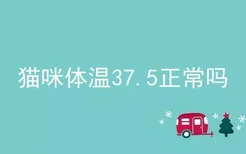 猫咪体温37.5正常吗