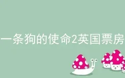 一条狗的使命2英国票房