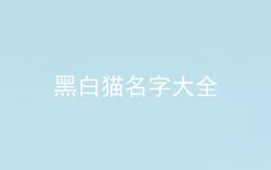 黑白猫名字大全