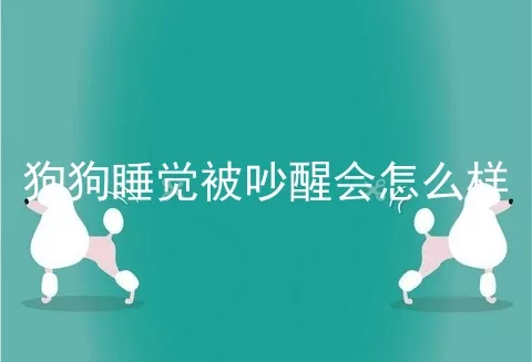 狗狗睡觉被吵醒会怎么样