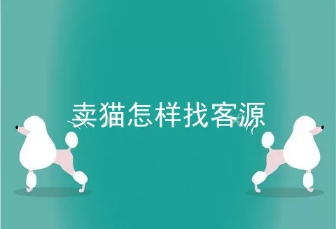 卖猫怎样找客源