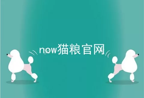 now猫粮官网