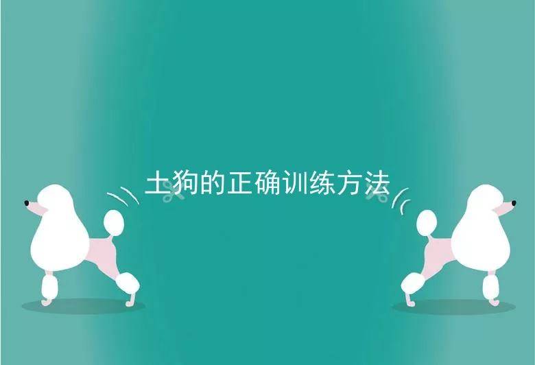 土狗的正确训练方法