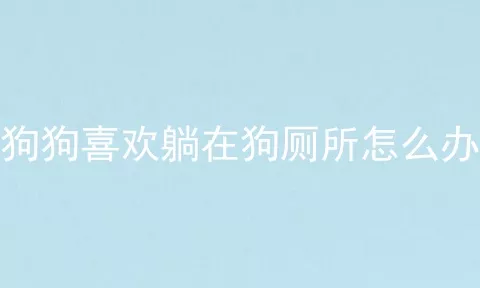 狗狗喜欢躺在狗厕所怎么办