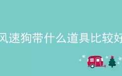 风速狗带什么道具比较好