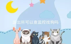 派出所可以查监控找狗吗