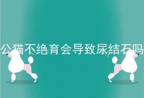 公猫不绝育会导致尿结石吗