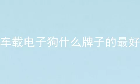 车载电子狗什么牌子的最好