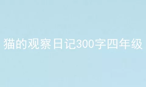 猫的观察日记300字四年级