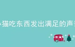 小猫吃东西发出满足的声音