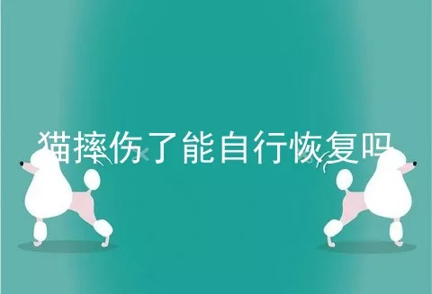 猫摔伤了能自行恢复吗