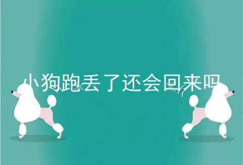 小狗跑丢了还会回来吗