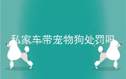 私家车带宠物狗处罚吗